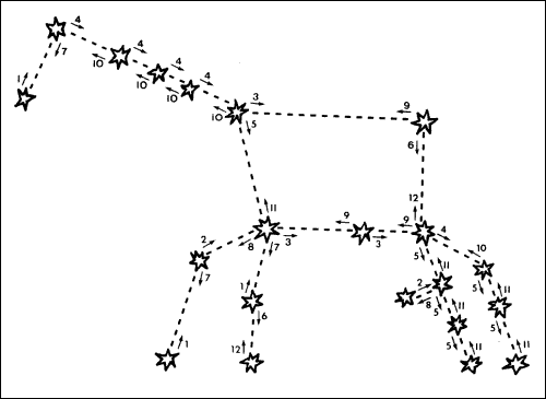 The horse constellation